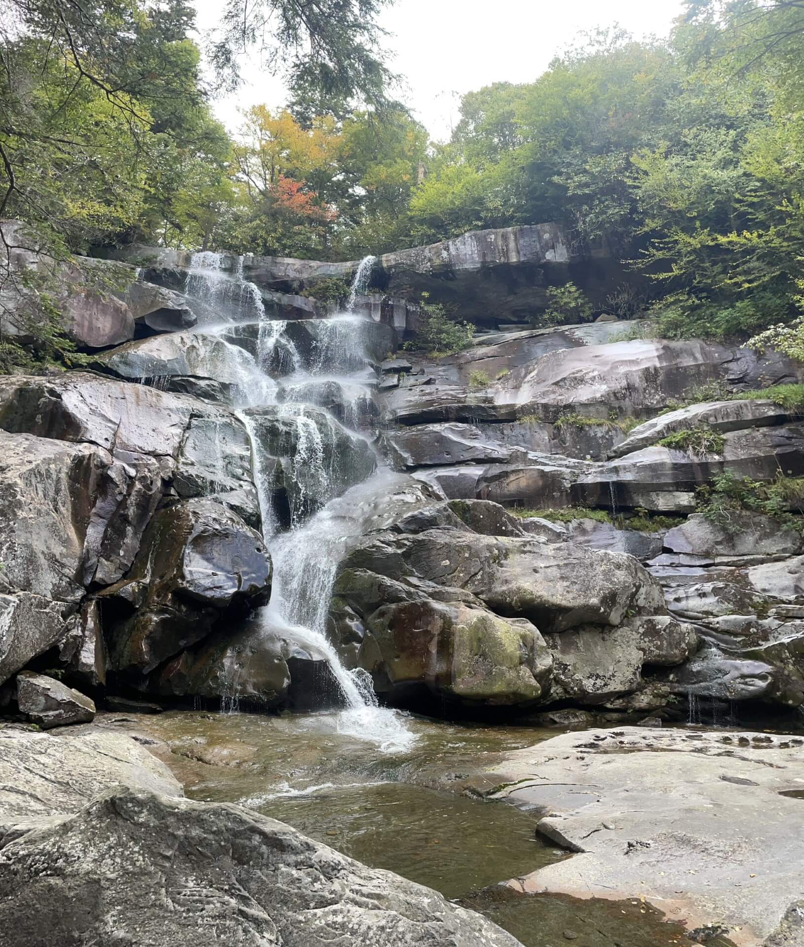 Old-growth forest on Ramsey Cascades Trail